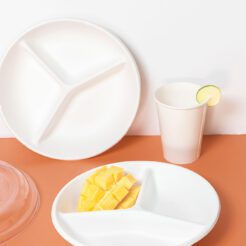 9" Round Deep Plate - D 9"3 Compartment- 1/200- Sugarcane  