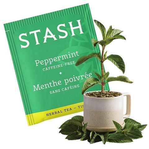 Stash Tea