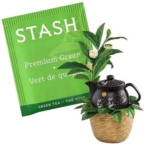 Stash Tea