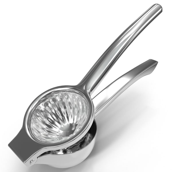 Deluxe Stainless Steel Juicer