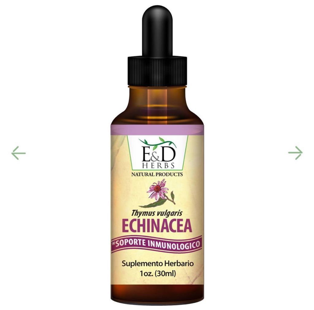 Echinacea Tintura 1oz